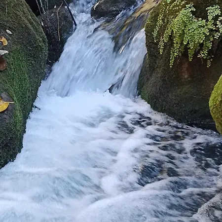 Azahares Turistico *