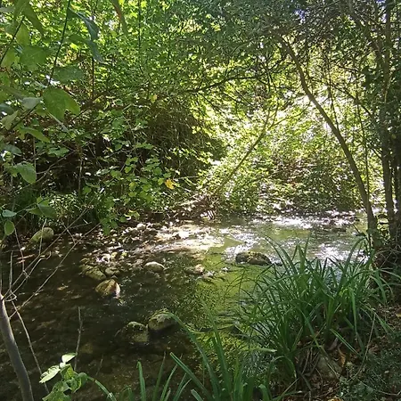Azahares Turistico El Bosque (Cadiz)