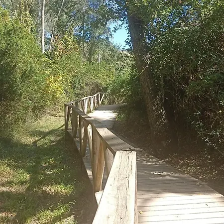 Azahares Turistico * El Bosque (Cadiz)
